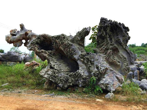 长沙园林黄蜡石与景观石资源探秘