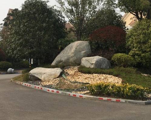 生态与艺术交融 探访武汉20000平方米景观石基地的门牌石典范