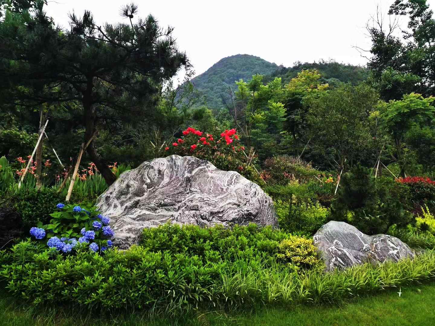 景观石的美学摆放与价值体现 从入门到精通